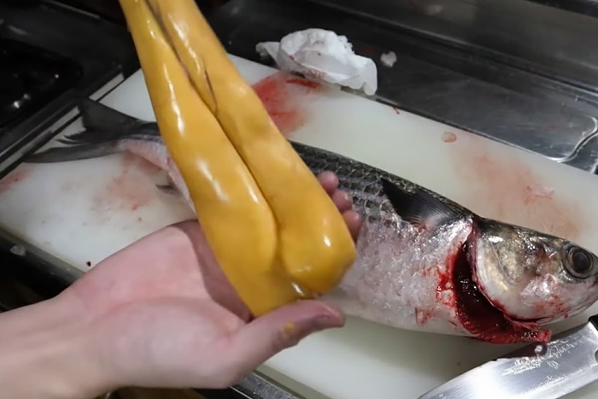 烏魚卵是珍貴的烏魚部位，能製作成高價烏魚子。