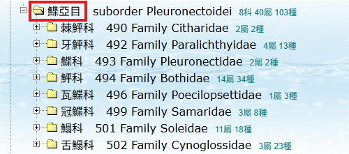 鰈魚分類