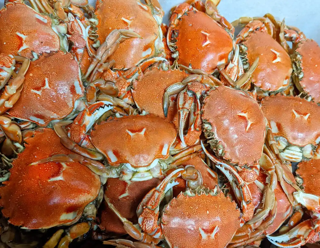 把握每年 9&ndash;12 月牛蹄蟹盛產季，品嚐飽滿蟹肉、濃郁蟹膏與鮮甜蟹黃，享受急速冷凍鎖鮮的頂級海味，在家也能輕鬆大啖秋蟹美味。