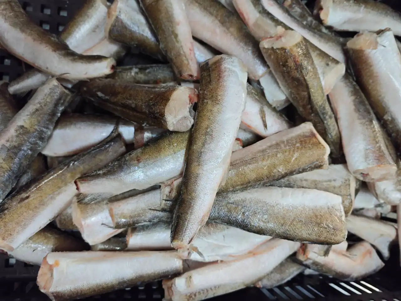 哈克魚是優質的低脂高蛋白「完全蛋白質」來源，每 100g 僅約 80 大卡且富含維生素 B12 與硒，是增肌減脂、修復組織的理想白肉魚選擇。