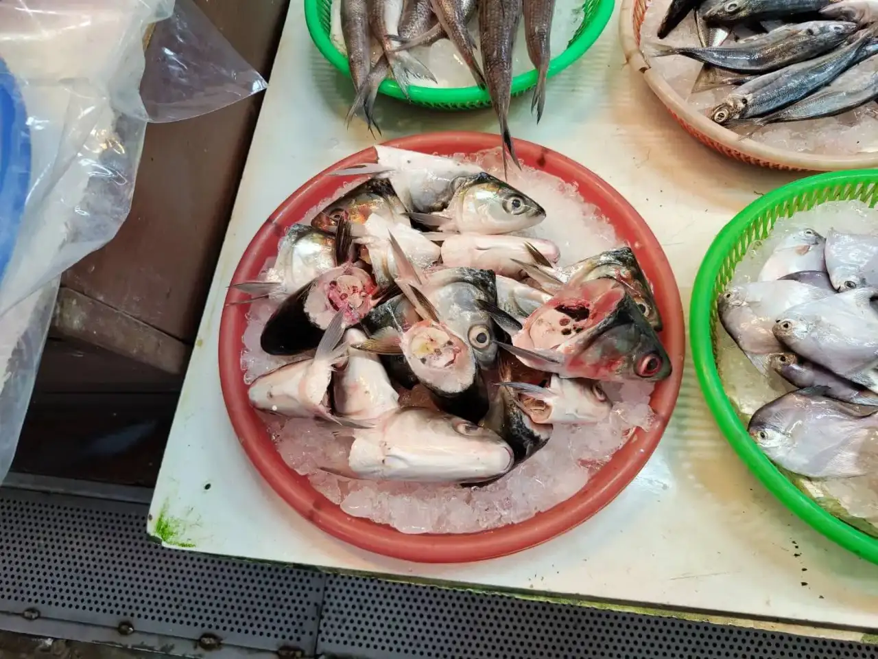 市場挑魚看眼清澈、鰓紅鮮亮、腹部回彈；超市選擇汁液清透且具CAS或TGAP標章；網購則優先冷凍無刺與完整標示來源，即可快速判斷虱目魚新鮮與品質。