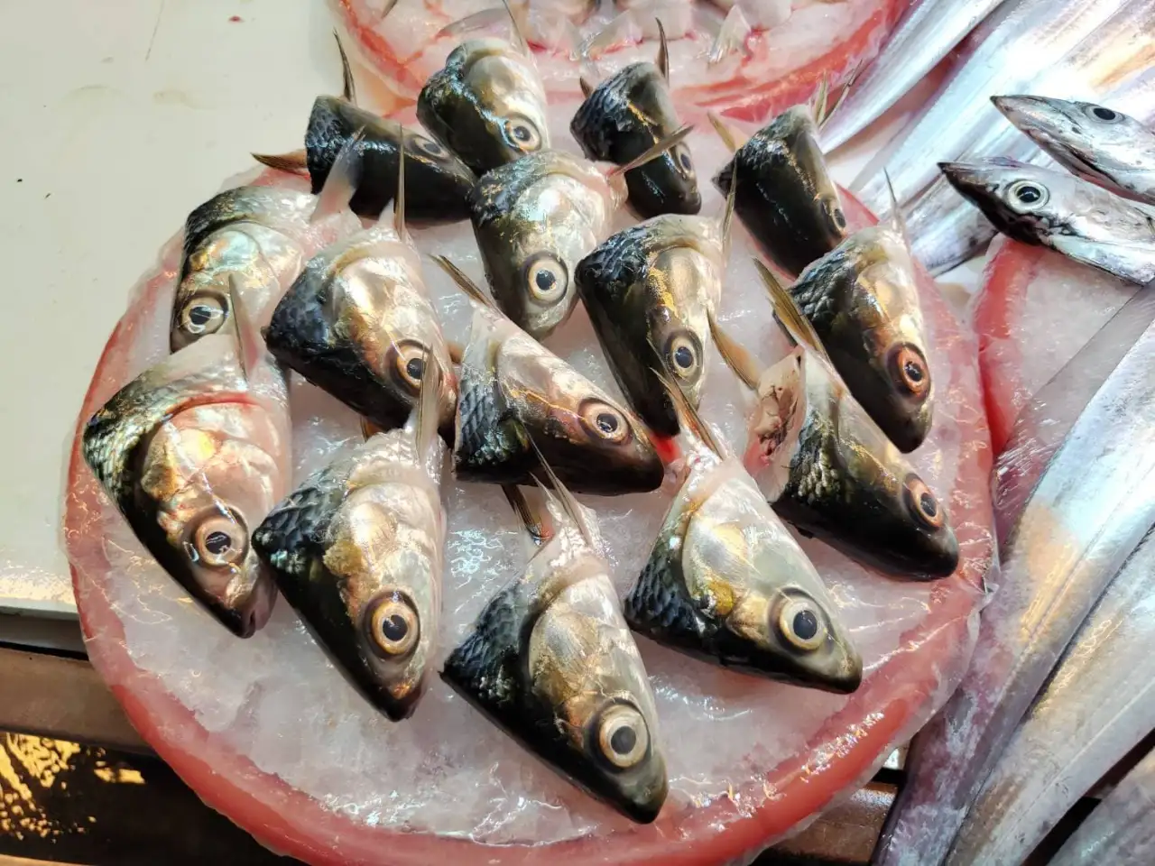 虱目魚從魚皮、魚頭、魚腸到背肉都能入菜，透過不同料理方式完整發揮全魚利用的美味與價值。