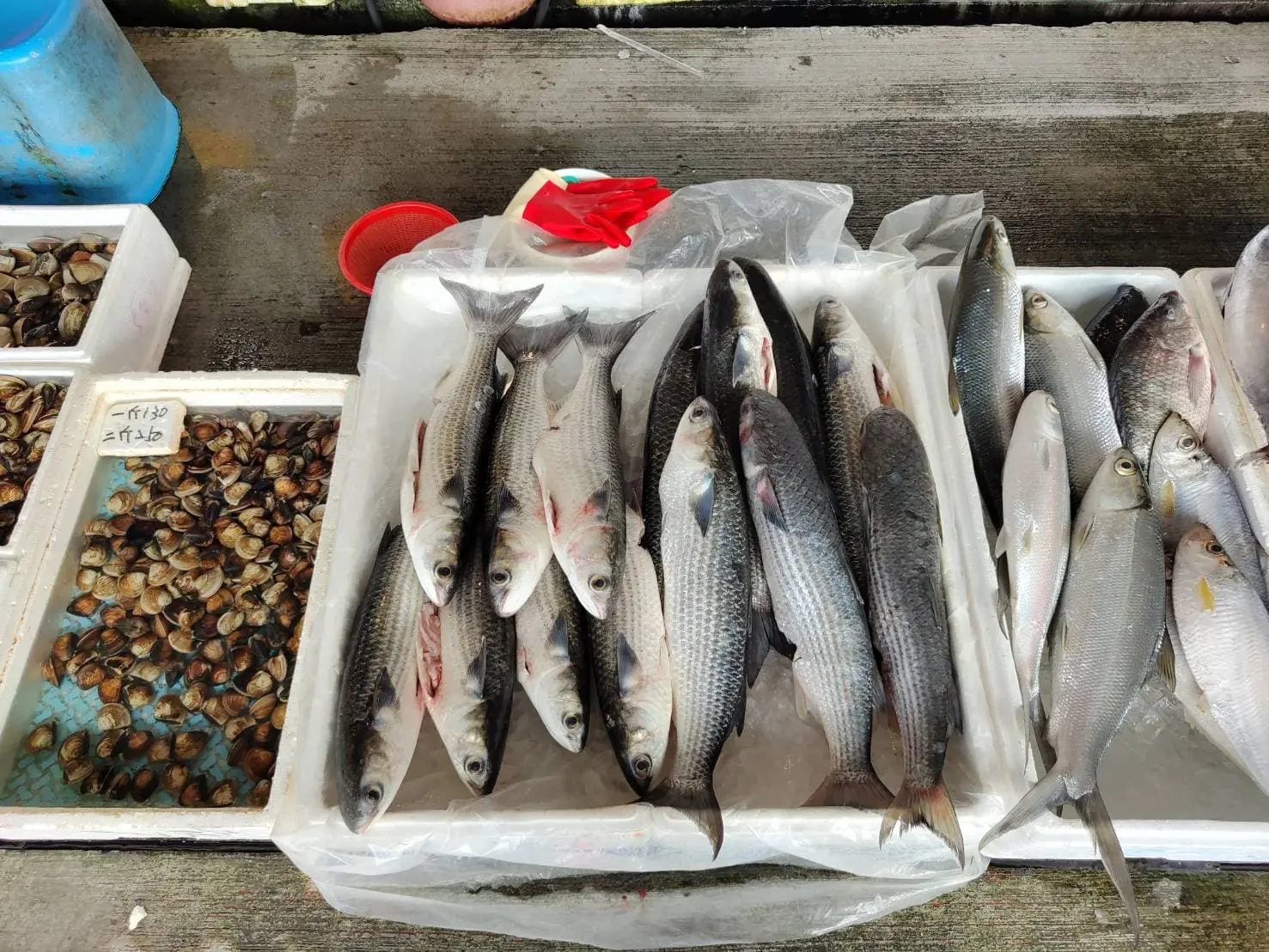 烏魚是台灣秋冬季常見海鮮，包含烏魚卵、烏魚膘、烏魚腱都是可利用部位。