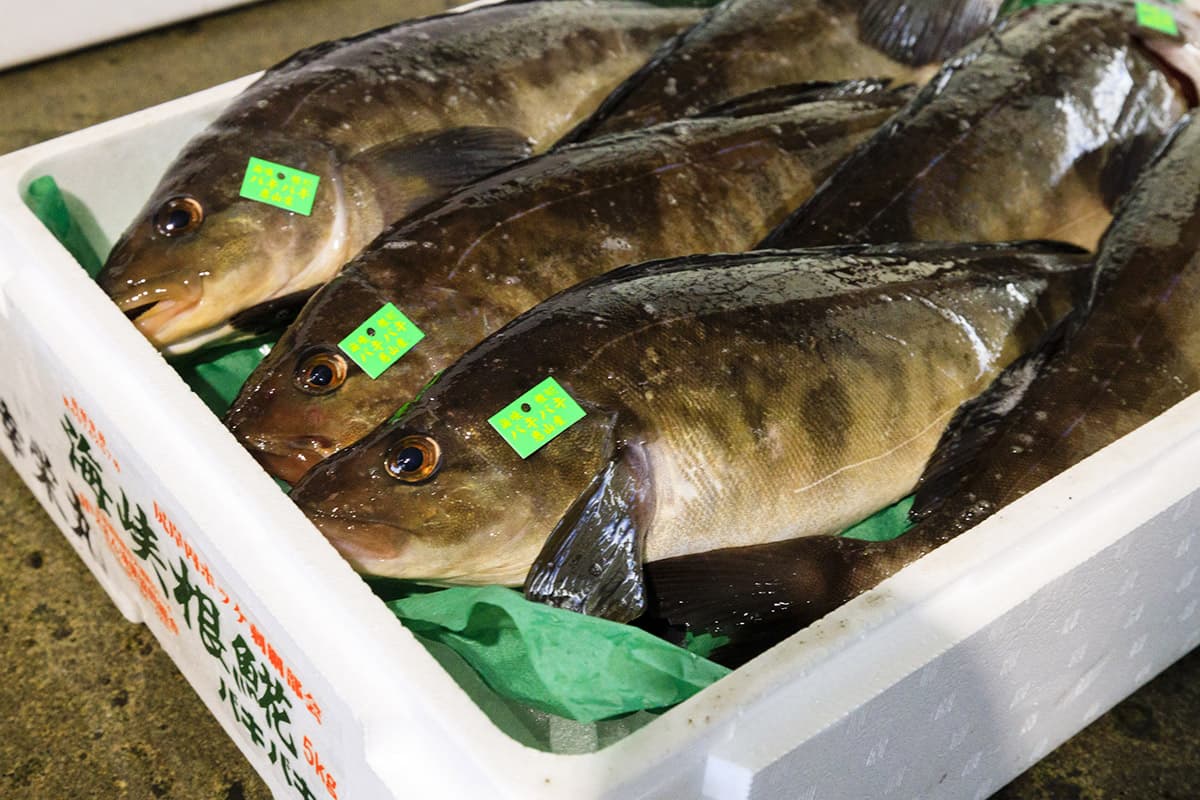 花魚