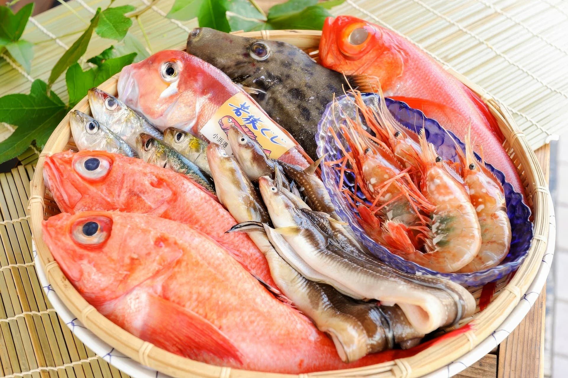 紅魚