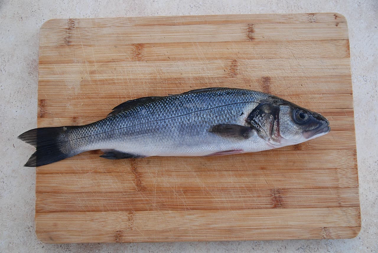 鱸魚
