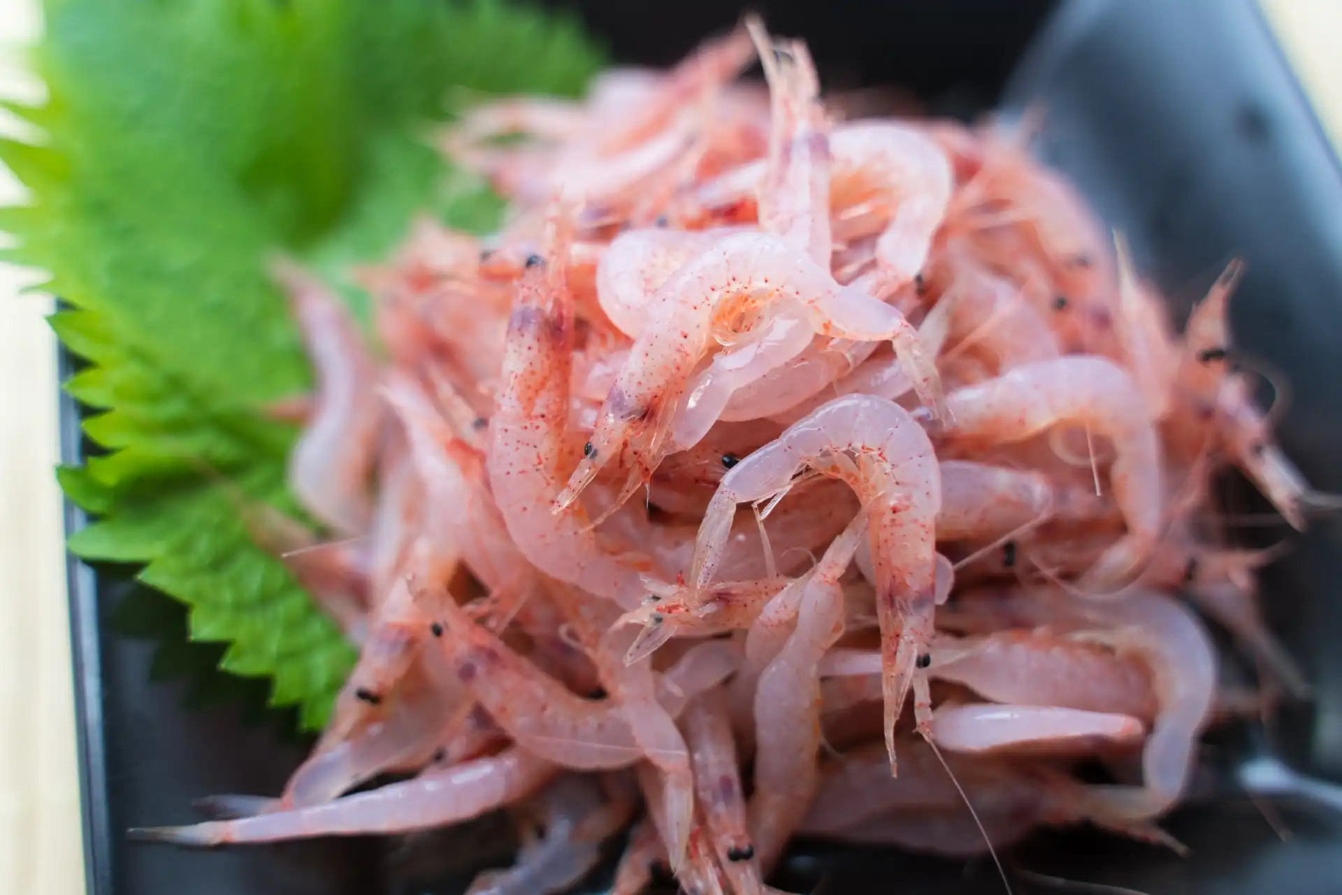 櫻花蝦挑選指南：生凍追求極致鮮甜、熟凍便利快速、蝦乾香氣濃郁，依料理需求選購對應形態。