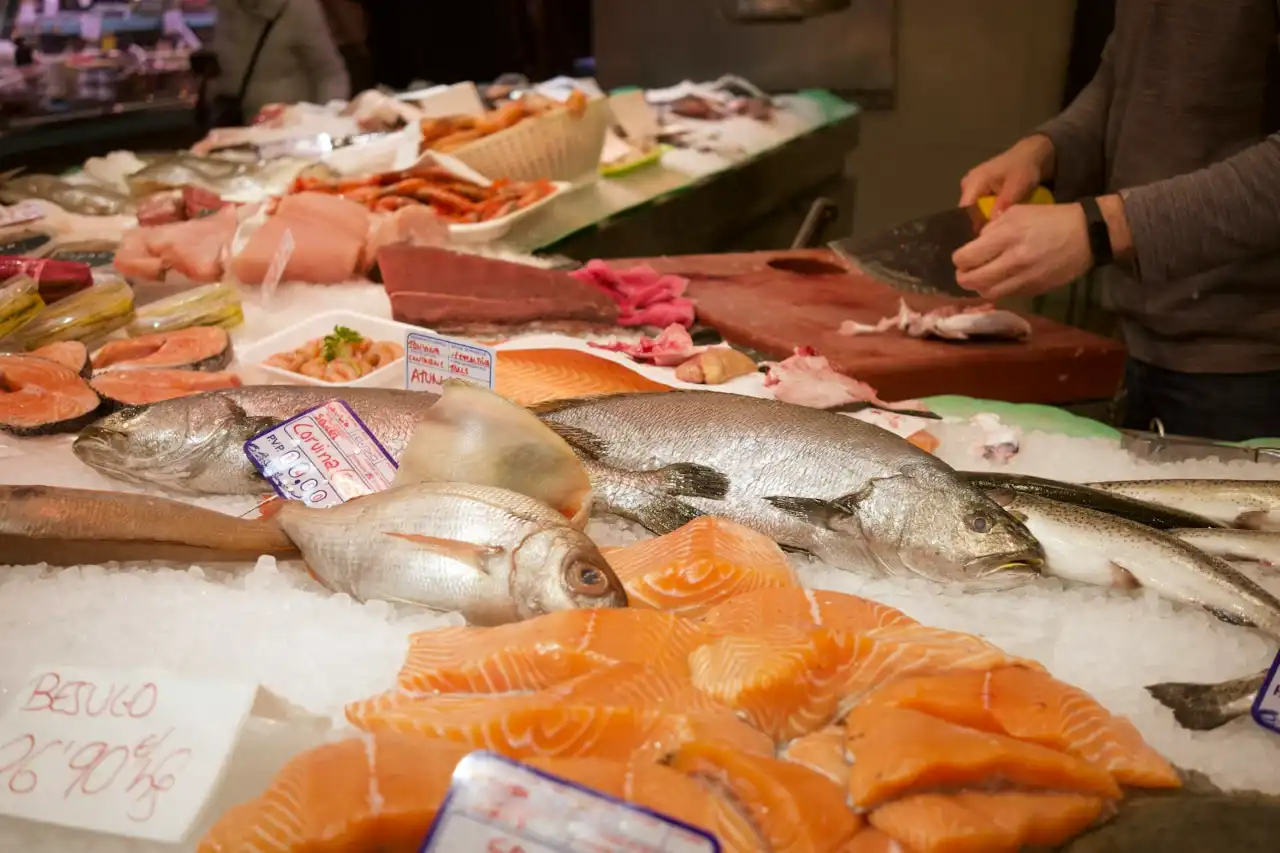 市面上的鮭魚商品眾多,每個鮭魚部位有各自不同的料理方式