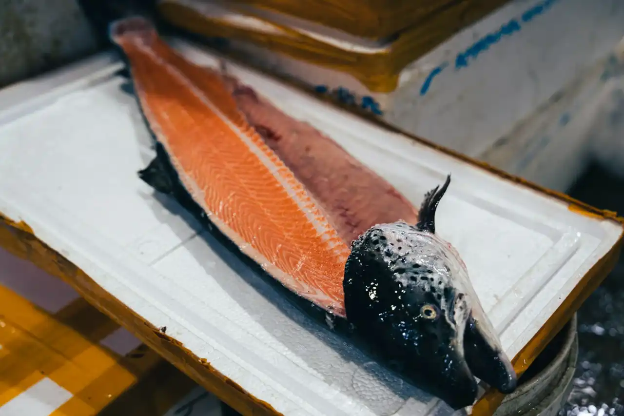 鮭魚的切法延伸出多樣化的鮭魚部位商品,需依照需求來選購