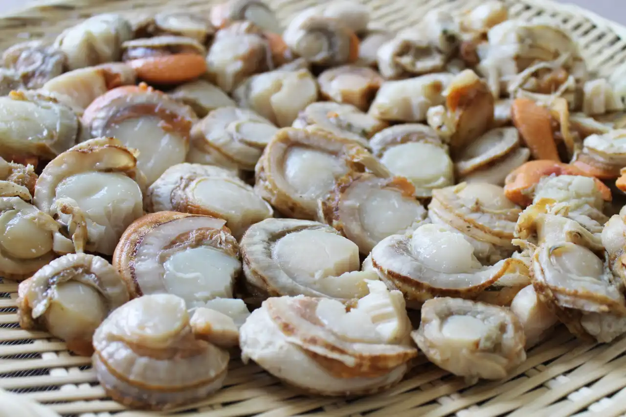 帆立貝以鮮甜細嫩口感聞名,無論乾煎、生食或燉湯,只要掌握解凍與火候技巧,就能完整呈現帆立貝與干貝的鮮美風味。