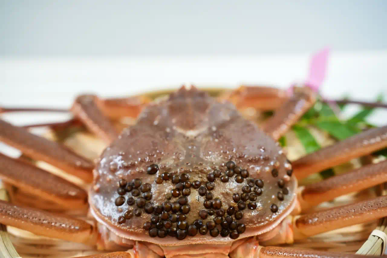 從冰水締刺身的極致彈牙、火鍋雜炊的鮮味堆疊，到甲羅燒的濃縮海味與台式海鮮羹的在地演繹，松葉蟹以多元料理型態完整釋放其深海鮮甜價值。