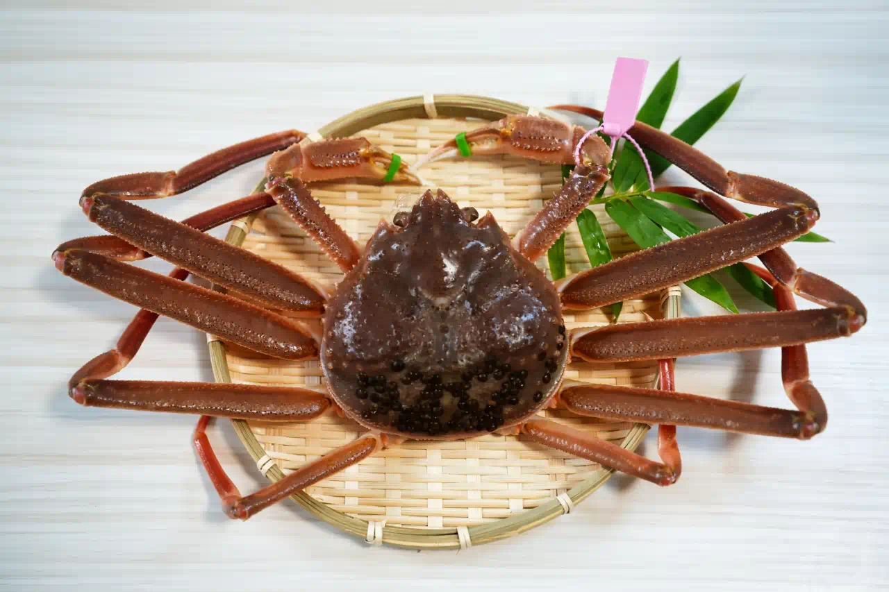 日本產地拍賣到台灣終端市場，松葉蟹價格從數百到破萬台幣不等，核心差異來自產地品牌、活體或熟凍狀態與季節供應鏈波動，頂級品牌蟹甚至能創下百萬日圓等級的稀缺溢價。