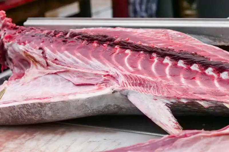 黑鮪魚美味關鍵在新鮮度與通路選擇，而非價格高低。無論是東港漁市現切大腹、冷鏈凍品解凍料理，或優質罐頭快速上桌，都能享受頂級口感與營養，掌握部位差異與正確處理是品嚐秘訣。