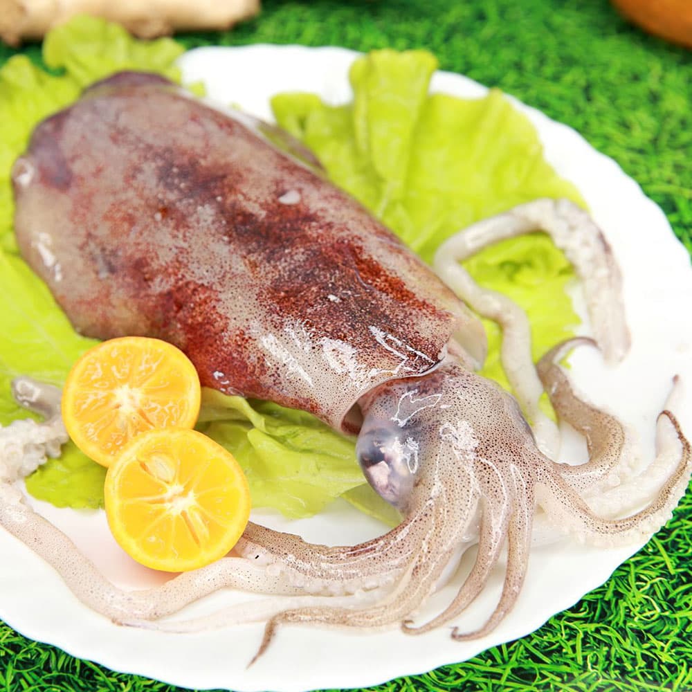 軟絲