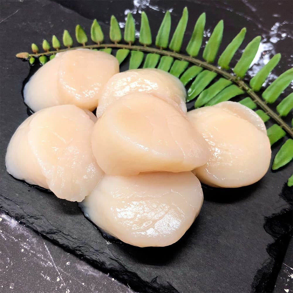 日本生干貝
