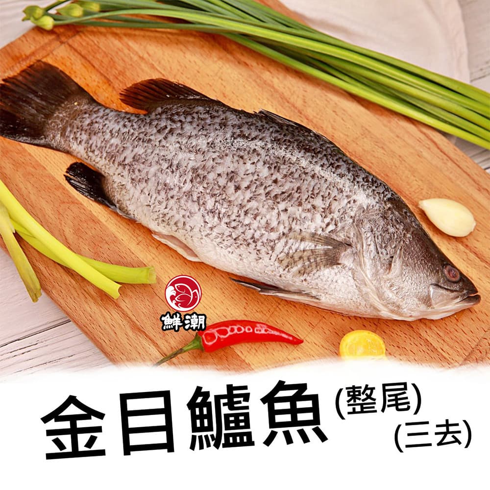 金目鱸魚