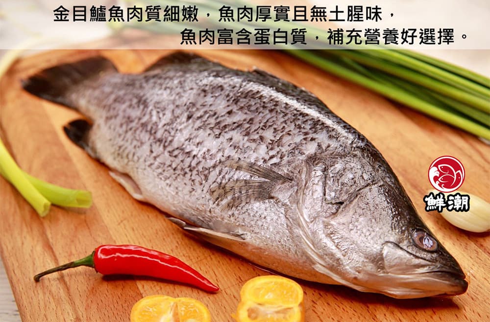 金目鱸魚