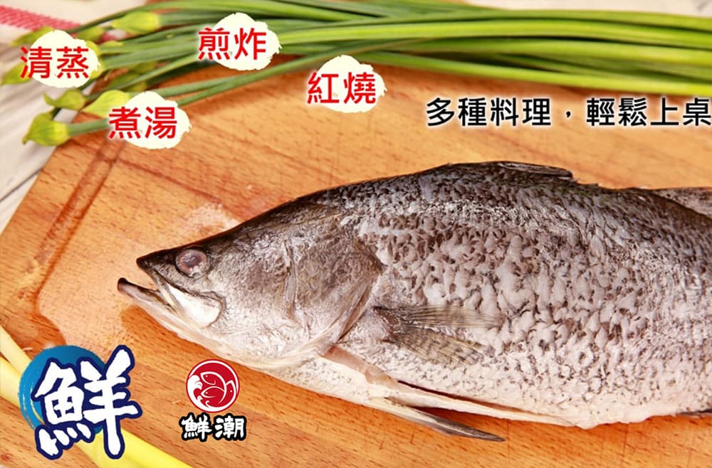 金目鱸魚