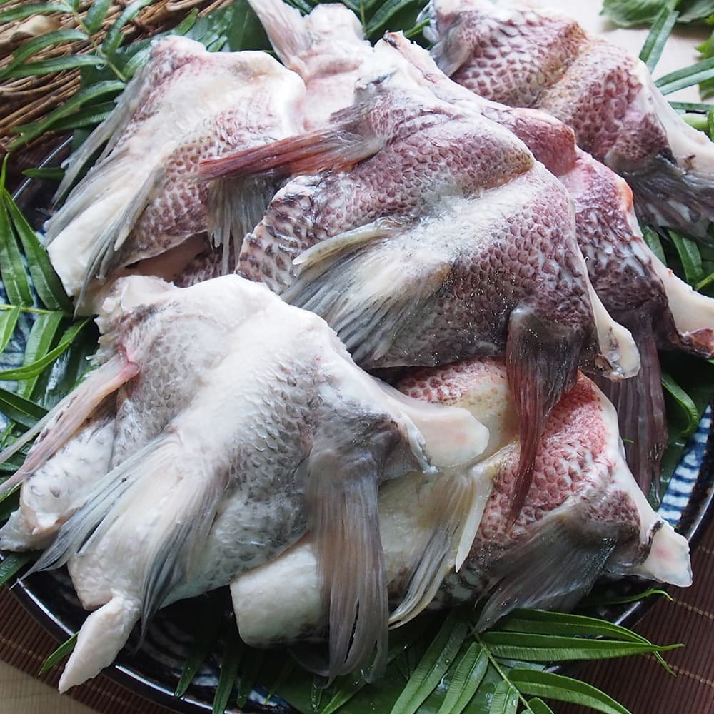 鯛魚下巴
