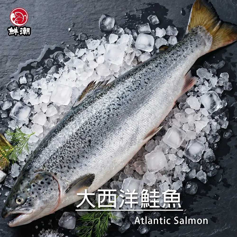 大西洋鮭魚,嚴選頂級鮭魚,經過急速低溫鎖鮮技術