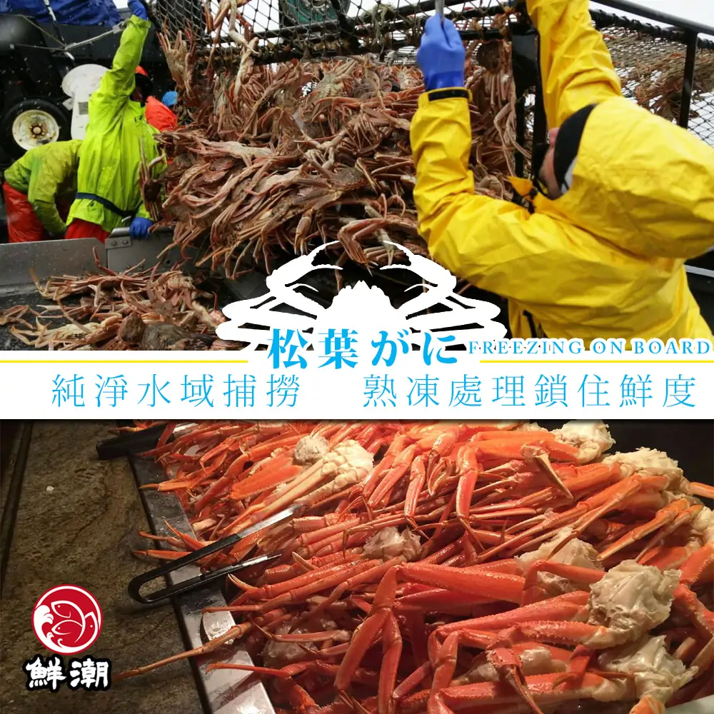 熟凍松葉蟹腳，捕撈即刻熟凍，鎖住松葉蟹最精華的海洋鮮味