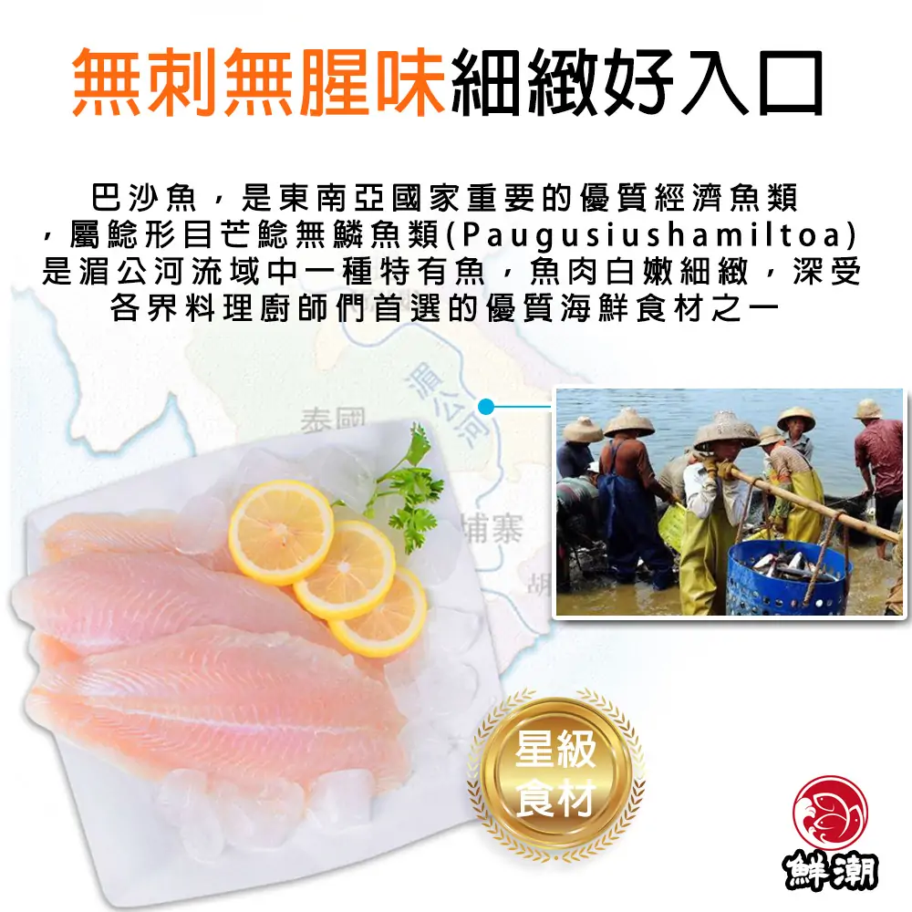鯰魚片，優質經濟魚種，擁有與鱈魚相似的口感