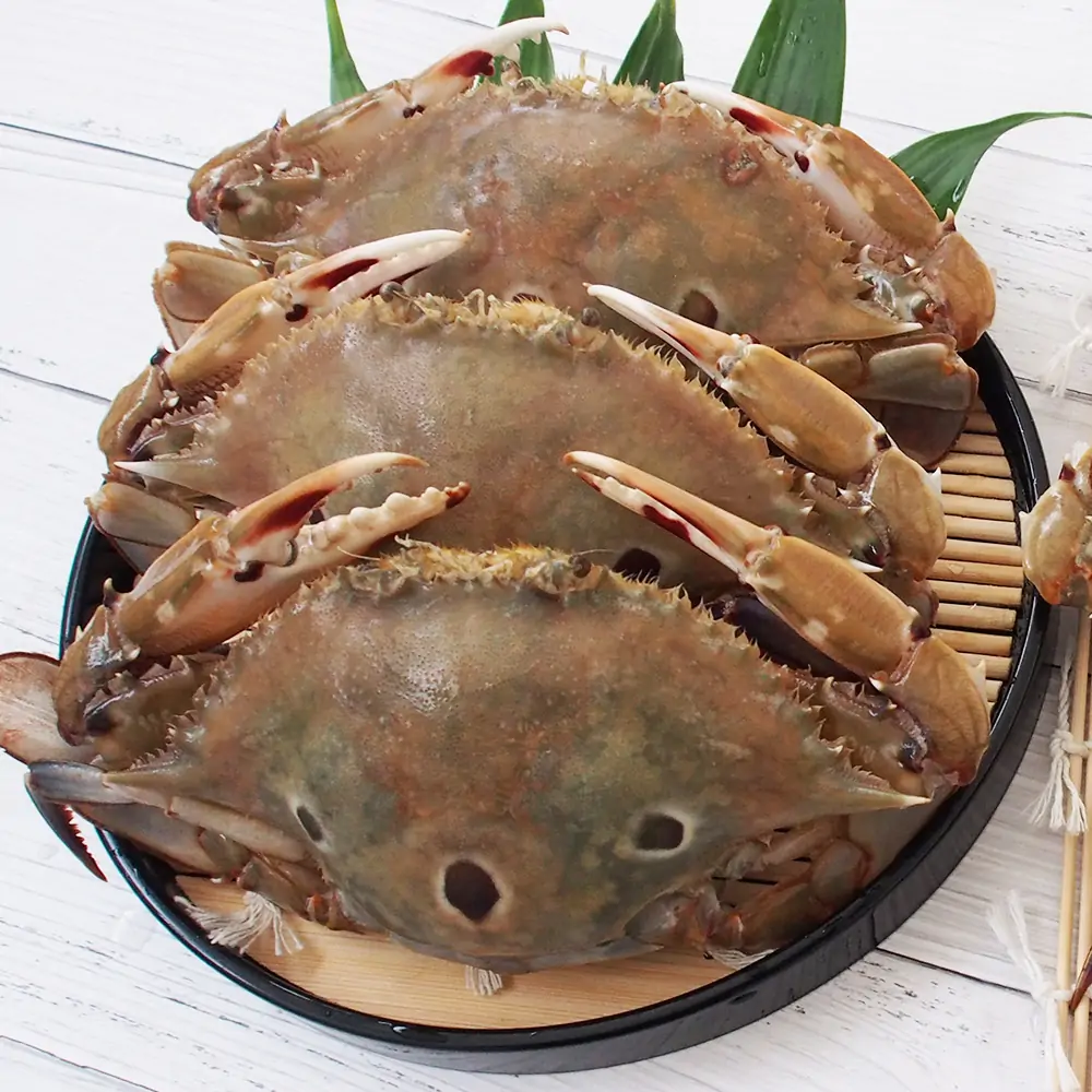 三點蟹
