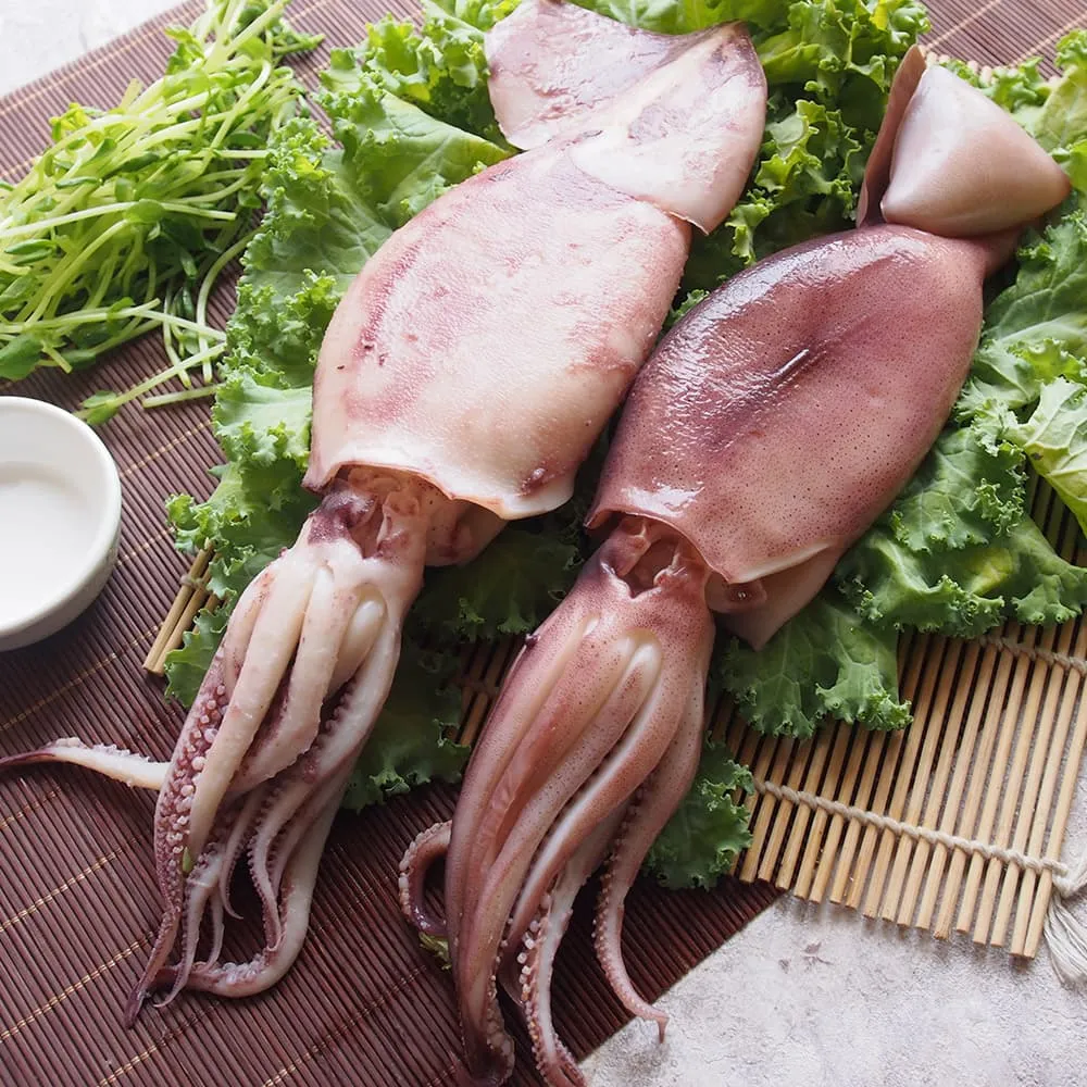 墨魚冰卷 - 整件出貨