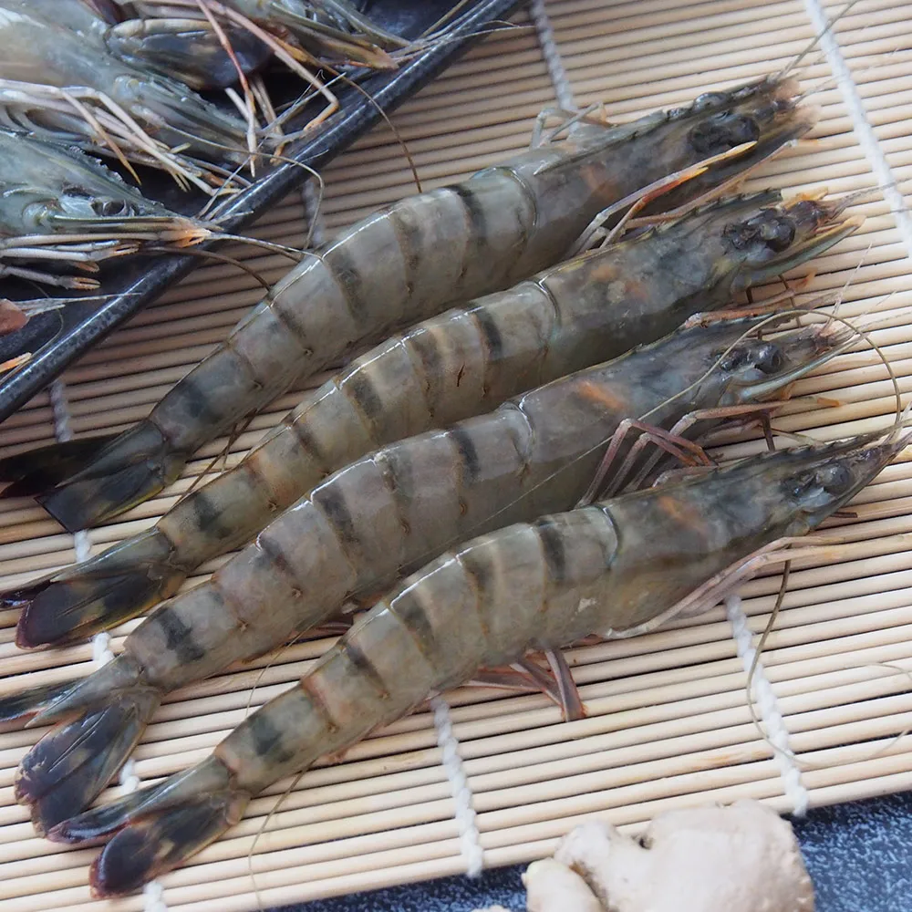 草蝦 - 整件出貨