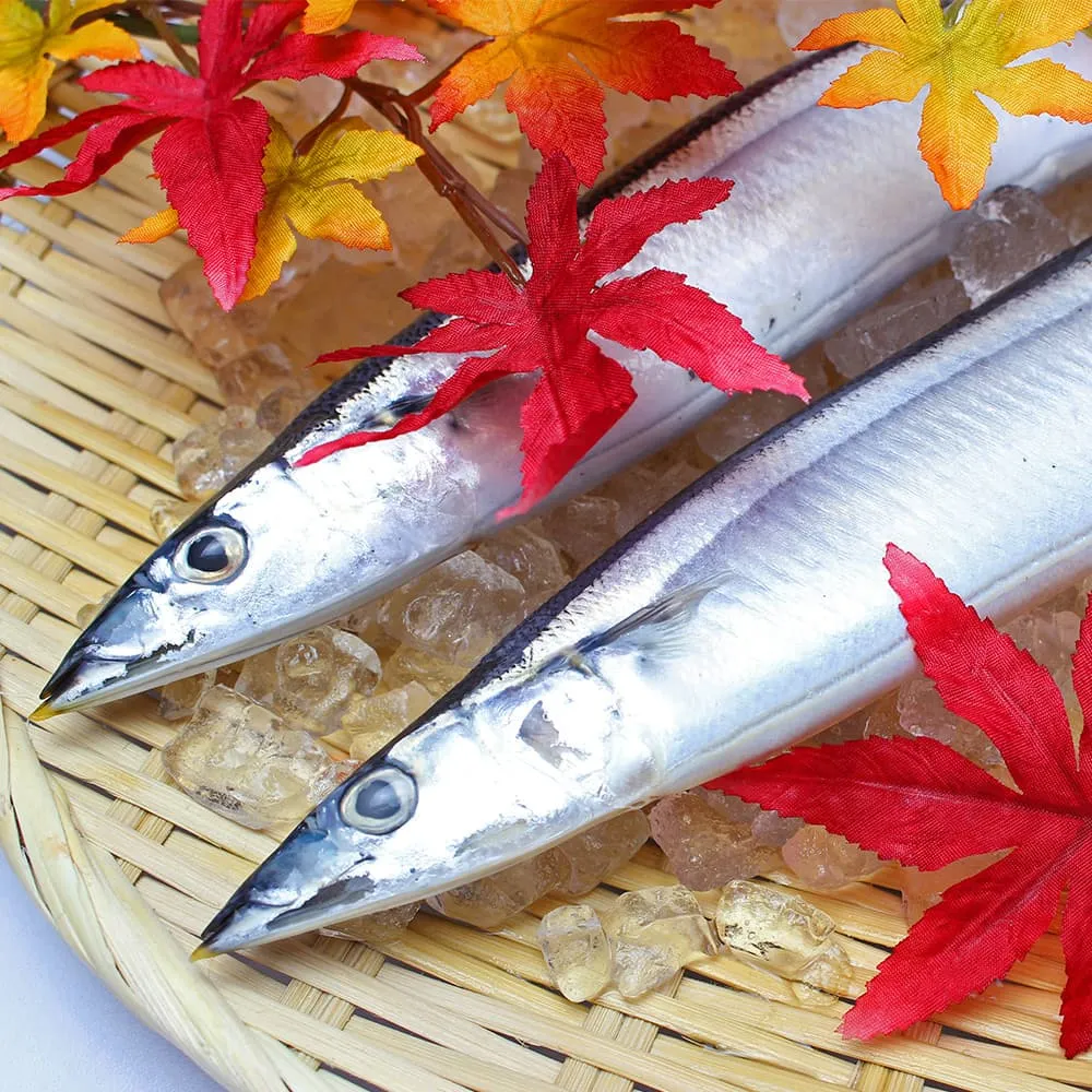 秋刀魚 - 整件出貨