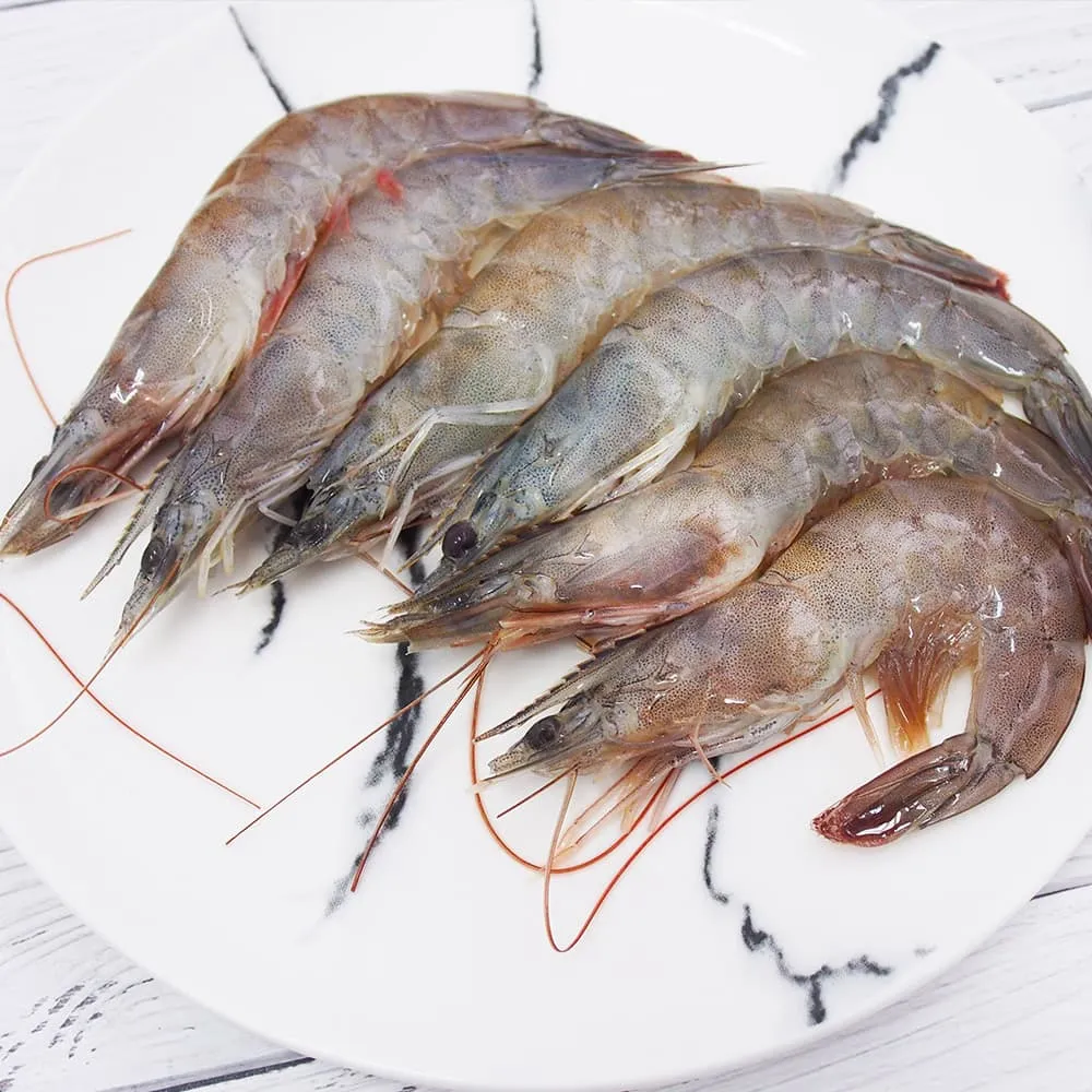 生白蝦 - 整件出貨