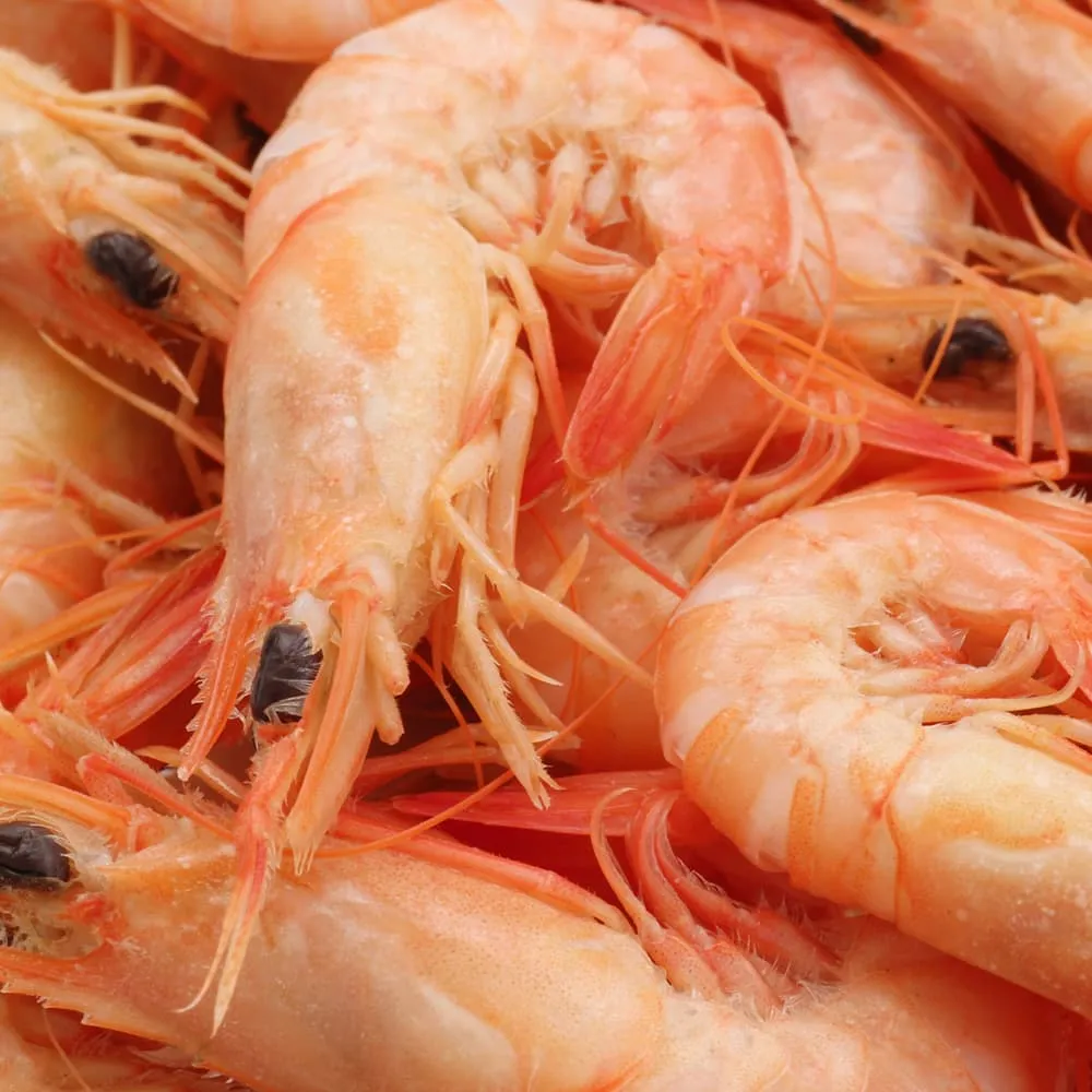 熟凍白蝦 - 整件出貨